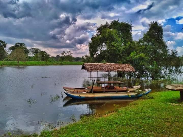 Elephant Safari Lodge Sigiriya Junction هاباران المظهر الخارجي الصورة