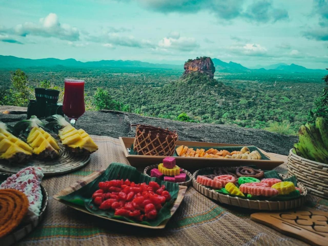 Elephant Safari Lodge Sigiriya Junction هاباران المظهر الخارجي الصورة