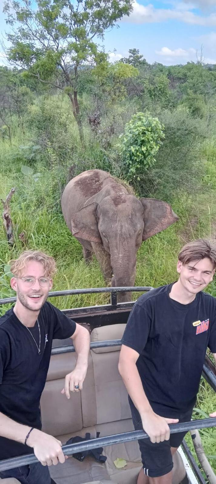 Elephant Safari Lodge Sigiriya Junction هاباران المظهر الخارجي الصورة