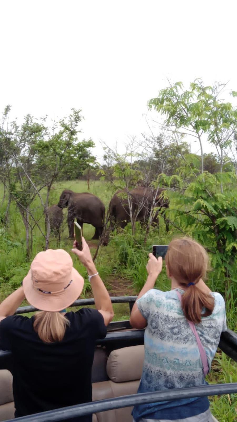 Elephant Safari Lodge Sigiriya Junction هاباران المظهر الخارجي الصورة