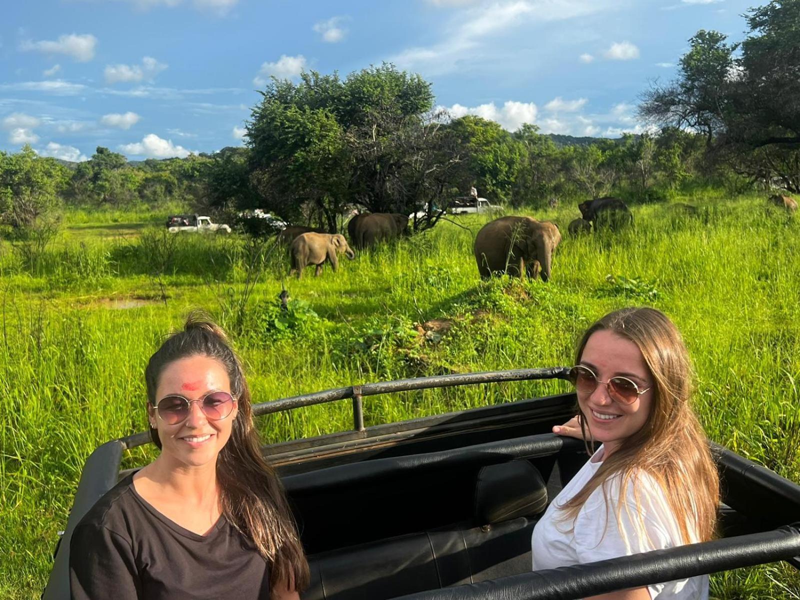 Elephant Safari Lodge Sigiriya Junction هاباران المظهر الخارجي الصورة