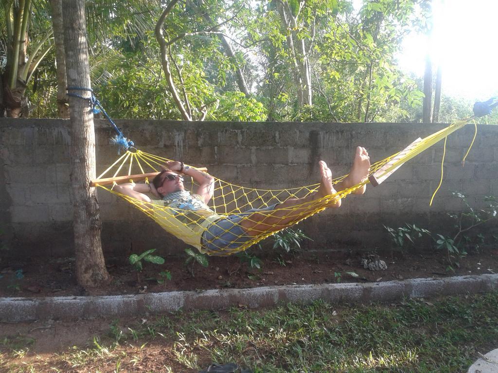 Elephant Safari Lodge Sigiriya Junction هاباران المظهر الخارجي الصورة