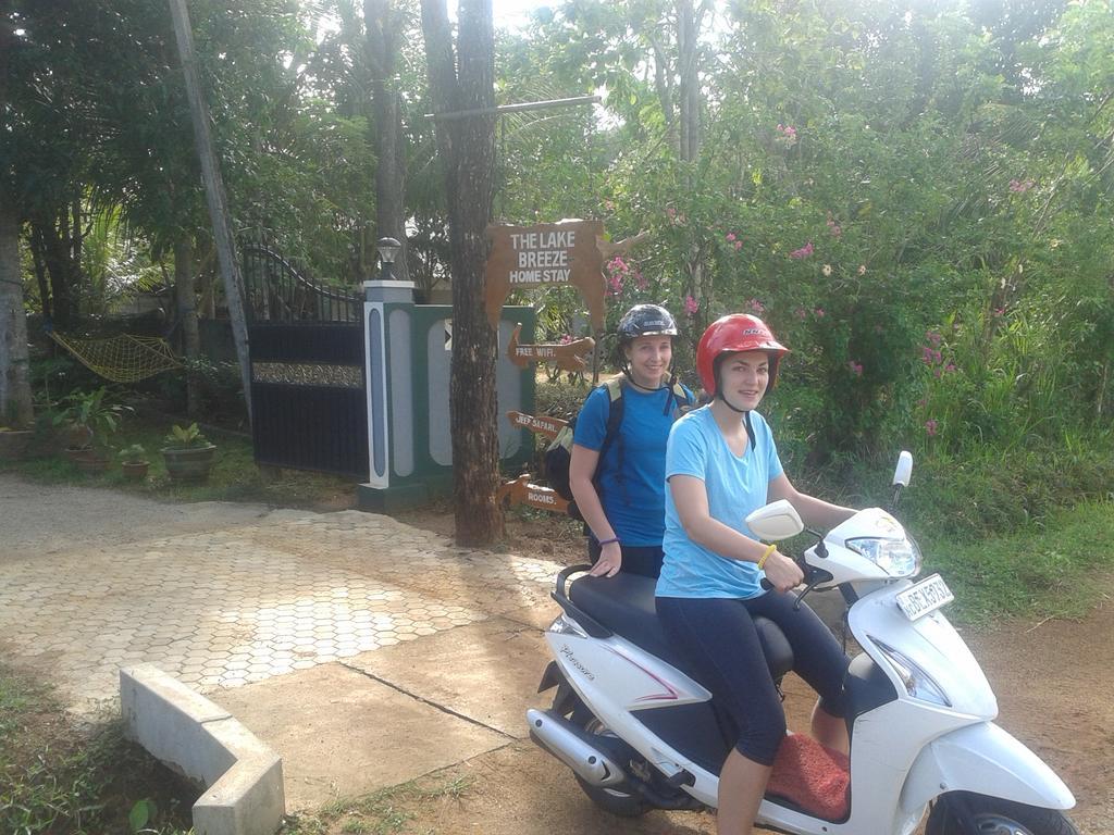 Elephant Safari Lodge Sigiriya Junction هاباران المظهر الخارجي الصورة