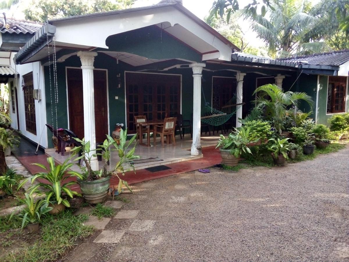 Elephant Safari Lodge Sigiriya Junction هاباران المظهر الخارجي الصورة